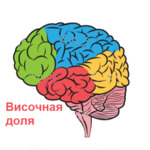 5c5b251befefd операция при эпилепсии на головной мозг