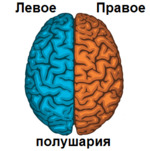 5c5b2c0d554ff операция при эпилепсии на головной мозг