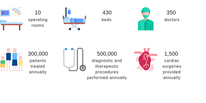 San Donato Hospital statistics San Donato Hospital in figures